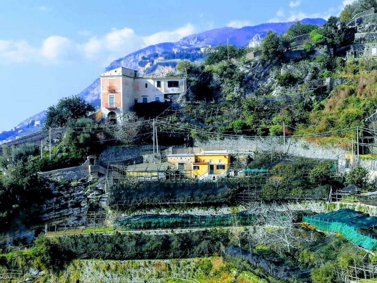 #La Limonaia Della Torretta Villa Minori Bagian luar foto