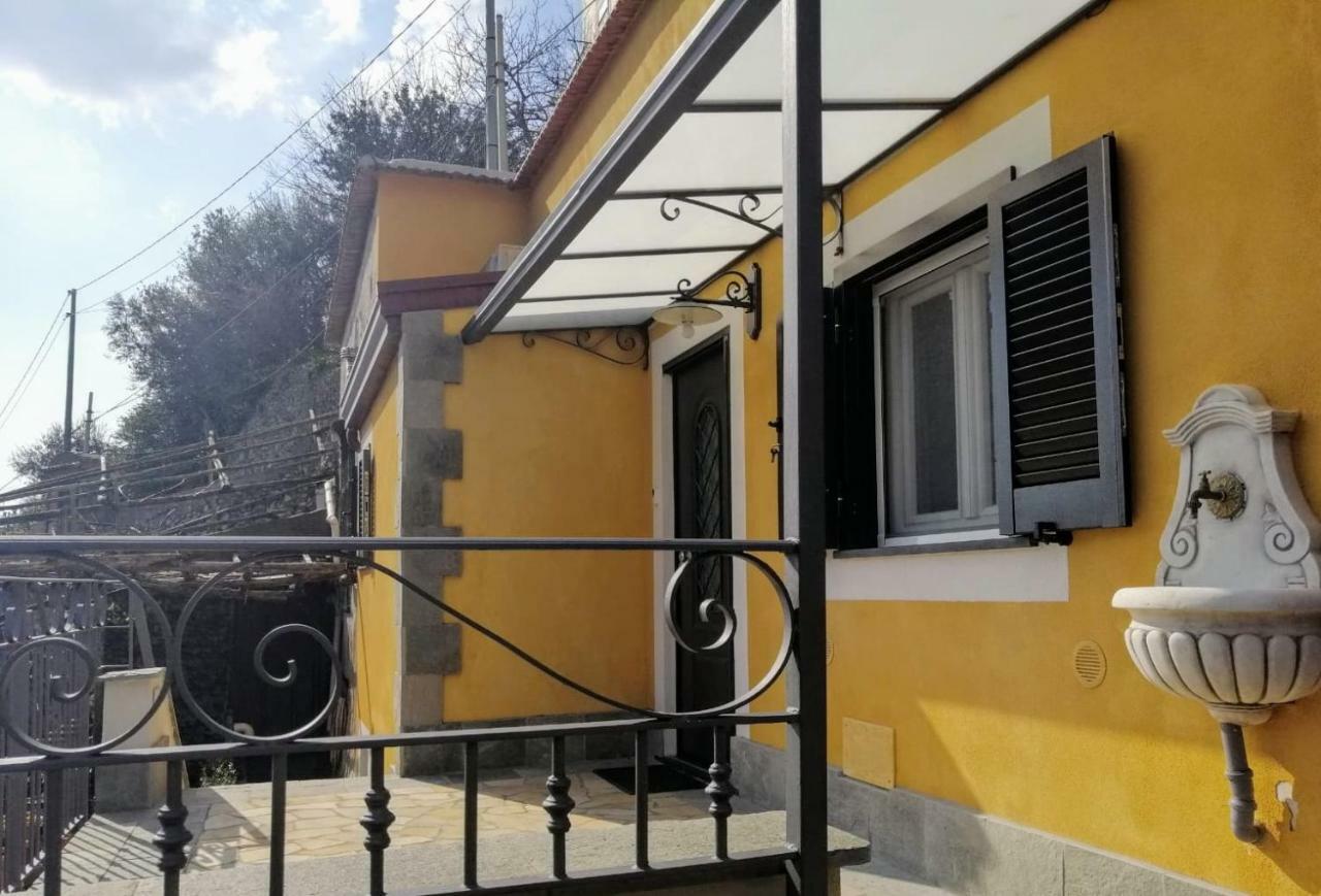 #La Limonaia Della Torretta Villa Minori Bagian luar foto