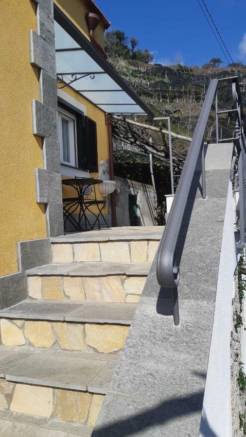 #La Limonaia Della Torretta Villa Minori Bagian luar foto